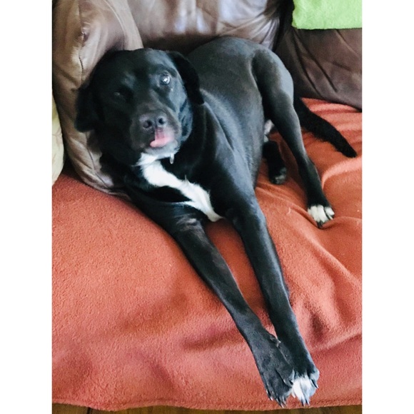 Meet your Posher, Julianna - Picture 7 of 8